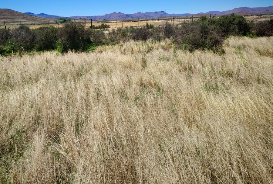 4 Bedroom Property for Sale in Middelburg Rural Eastern Cape